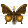 10 Steampunk Butterfly PNGs | Printable Digital Download for Scrapbooking & Journals
