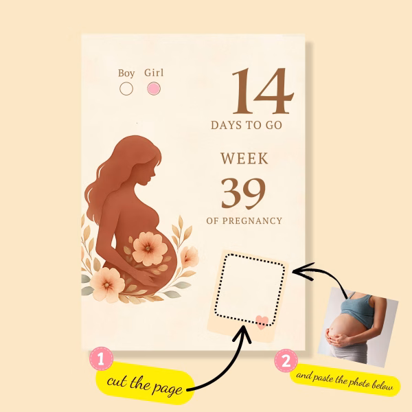 Printable Pregnancy Countdown Calendar | Daily Baby Bump Journal | Instant Download