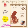 Printable Pregnancy Countdown Calendar | Daily Baby Bump Journal | Instant Download