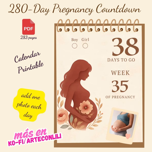 Printable Pregnancy Countdown Calendar | Daily Baby Bump Journal | Instant Download