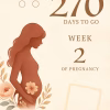 Printable Pregnancy Countdown Calendar | Daily Baby Bump Journal | Instant Download
