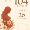 Printable Pregnancy Countdown Calendar | Daily Baby Bump Journal | Instant Download