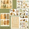 Savanna Digital Download: 52 Printable Scrapbook Papers for Safari Adventures